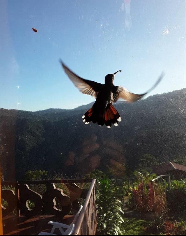 Pacuare Mountain Lodge Tres Equis Ngoại thất bức ảnh